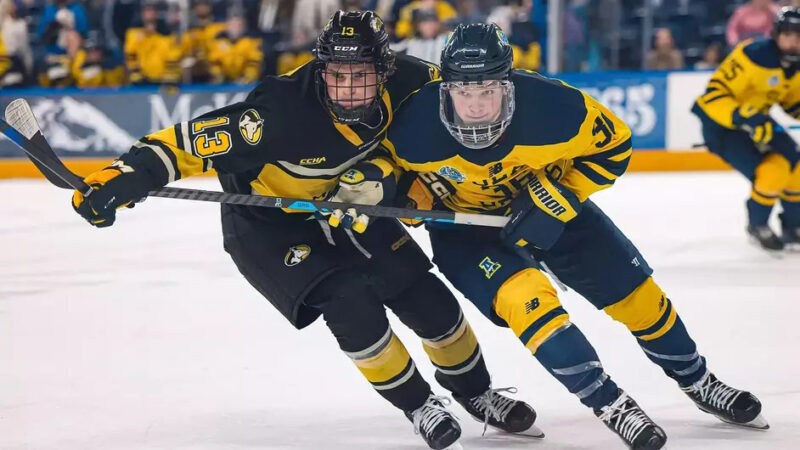 Huskies hockey earns split in Alaska